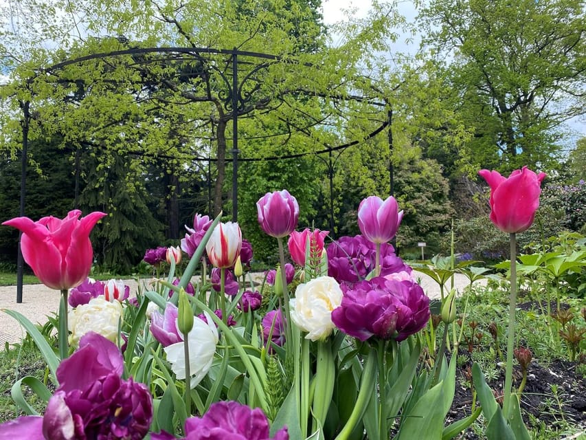Rotterdam: Trompenburg Botanical Gardens Entry Ticket - Price and value: is $15 worth it?