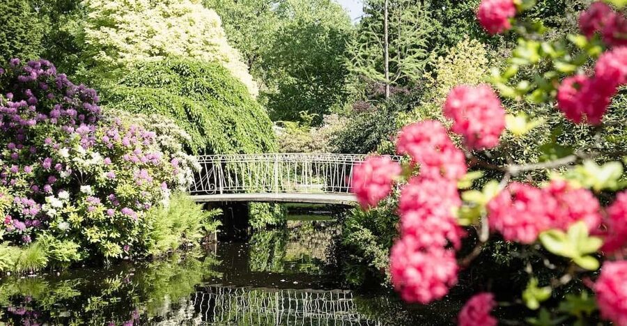 Rotterdam: Trompenburg Botanical Gardens Entry Ticket - What the 8 acres feel like on foot