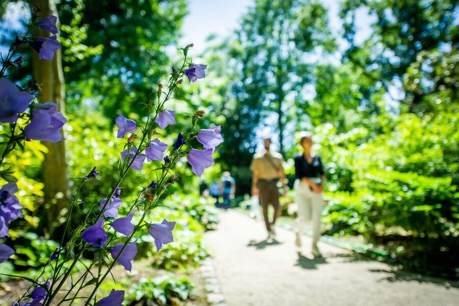 Rotterdam: Trompenburg Botanical Gardens Entry Ticket - The majestic tree collection, and why it is the main event
