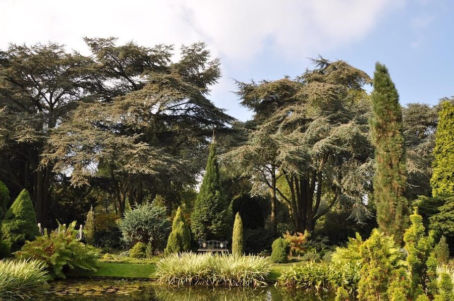 Rotterdam: Trompenburg Botanical Gardens Entry Ticket - Timing your visit for seasons and Sunday programs