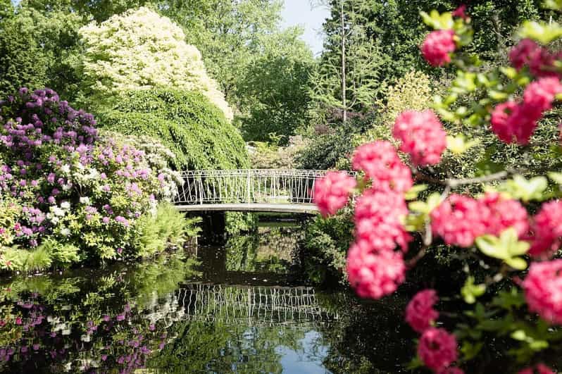 Rotterdam: Trompenburg Botanical Gardens Entry Ticket - The ticket is your entry to a self-guided garden day