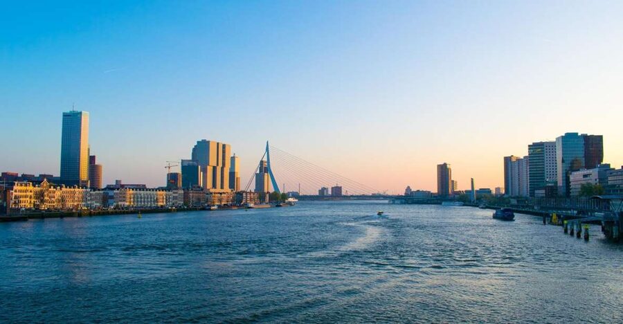 Rotterdam Walking Tour and Harbor Cruise - Private Guide Value: What $188 Really Buys