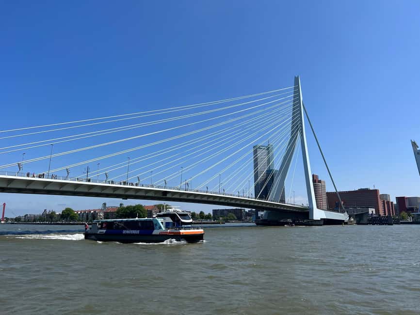 Rotterdam: WaterShuttle Ticket to Kinderdijk - Where to board in Rotterdam: the Blue flags trick that works