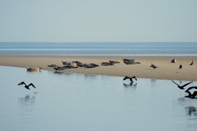 Seal Safari at UNESCO Site Waddensea from Amsterdam - Meals and pacing: how to handle food without getting off-track