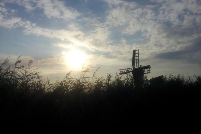 Small-Group Guided Sunset Canoe Tour in Waterland with Dinner - The picnic dinner spot: the best pause in the whole schedule