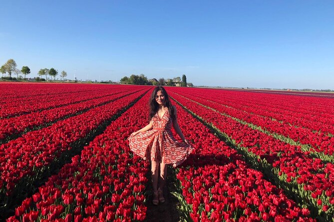 Small Group Keukenhof and Delft Guided Tour from Amsterdam - Key things to know before you go