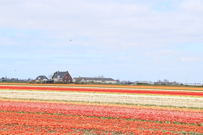 Small Group Keukenhof and Delft Guided Tour from Amsterdam - Lisse bulb fields stop: short, photo-focused, and weather-dependent