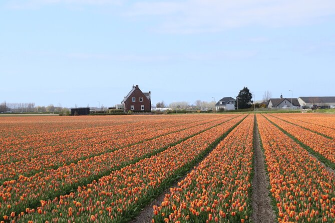 Small Group Keukenhof and Delft Guided Tour from Amsterdam - Delft canal walk plus Delft Blue pottery workshop