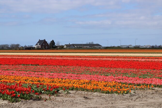 Small Group Keukenhof and Delft Guided Tour from Amsterdam - Amsterdam to the Netherlands flower fields, how the timing works