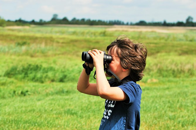 Small Group Tour to NP Hoge Veluwe (van Gogh) from Amsterdam - Should you book this Amsterdam to Hoge Veluwe small-group tour?