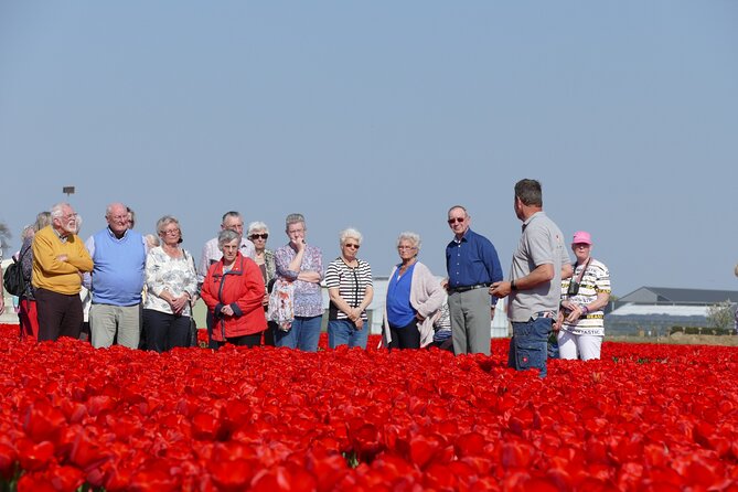 Taking Pictures in the Tulip Field at De Tulperij - Price and value for a $12.01 per person field session