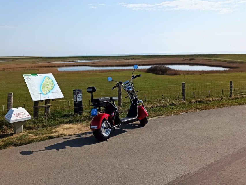 Texel: E-Scooter Rental - Key things I’d circle before you go