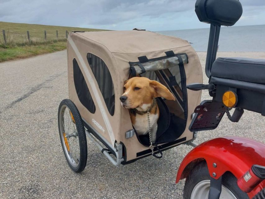 Texel: E-Scooter Rental - Heathlands and sandy plains: the best use of your short time