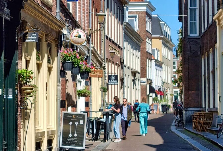 The Hague: City Walking Tour - Ending at Noordeinde Palace with a clear final picture