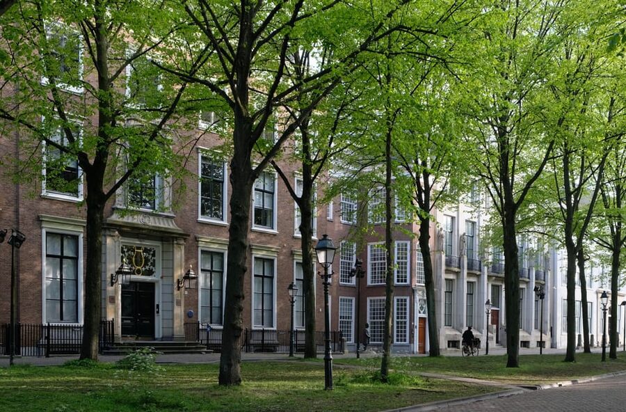 The Hague: City Walking Tour - Price and value for a focused 1.5-hour walk