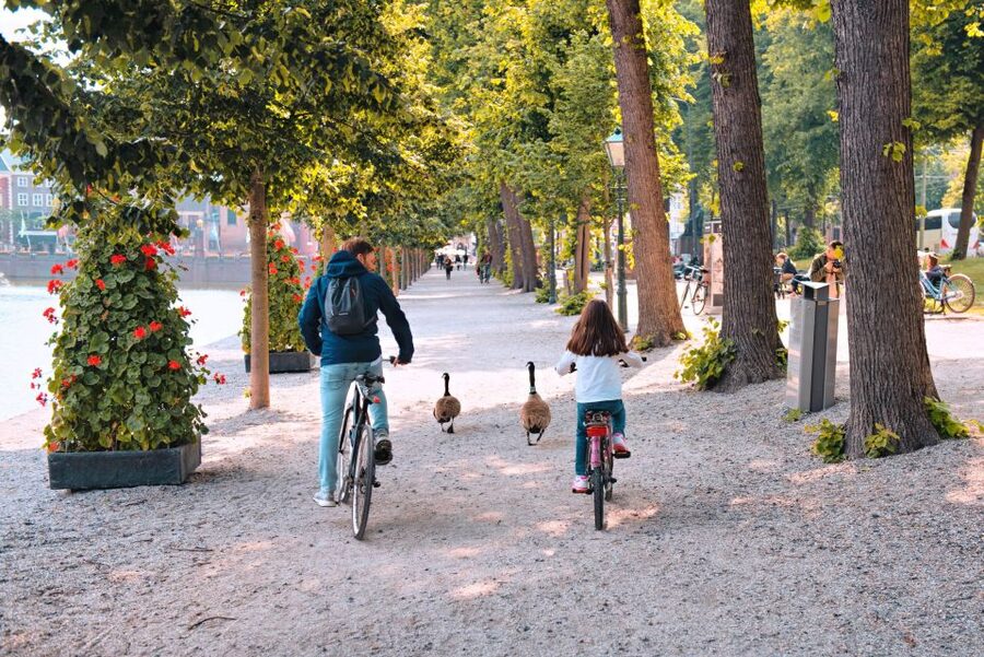 The Hague: Highlights Bike Tour - Key tour takeaways