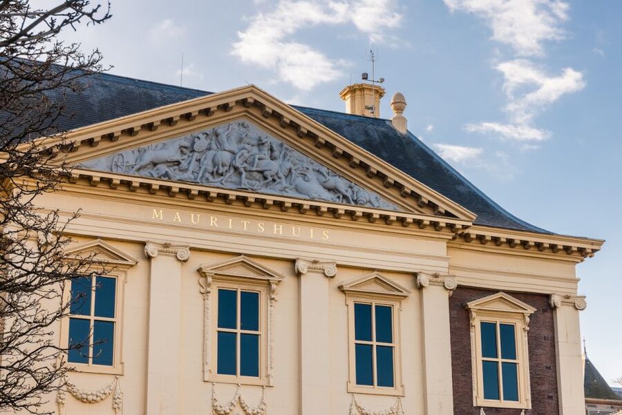 The Hague: Mauritshuis Entrance Ticket - The Palace Interior: Silken Walls, Chandeliers, and Ceiling Paint