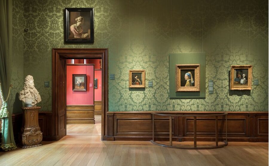 The Hague: Mauritshuis Entrance Ticket - Temporary Exhibition Bonus: Birds in 2026