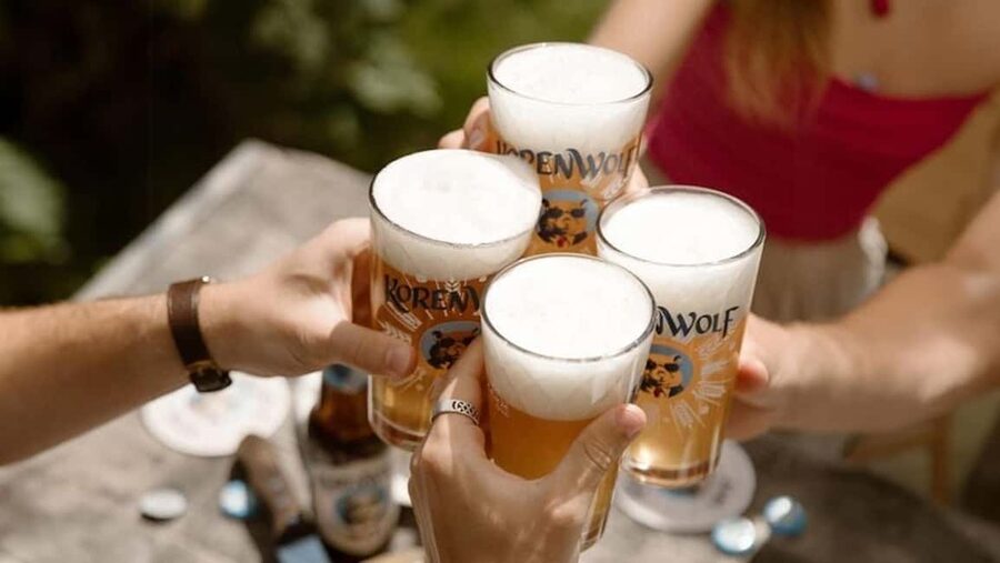 Top 10 Tastings of Amsterdam: Food & Culture Bike Tour - Should You Book This Amsterdam Bike Food Tour?
