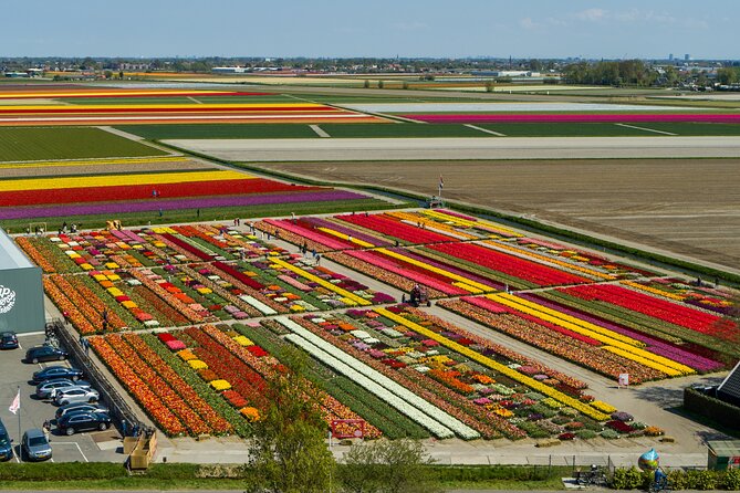 Tour to Giethoorn and Keukenhof Tulip Fields from Amsterdam - Giethoorn: canal cruise first, then foot time to absorb the village
