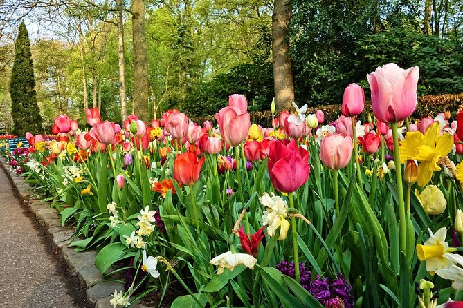 Tour to Giethoorn and Keukenhof Tulip Fields from Amsterdam - What this tour is best for