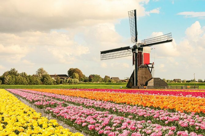Tulip Experience and Keukenhof Flower Gardens Tour from Amsterdam - Why this tulip and Keukenhof combo makes sense