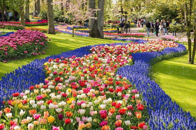 Tulip Experience and Keukenhof Flower Gardens Tour from Amsterdam - Keukenhof entry and 2.5 hours that you control