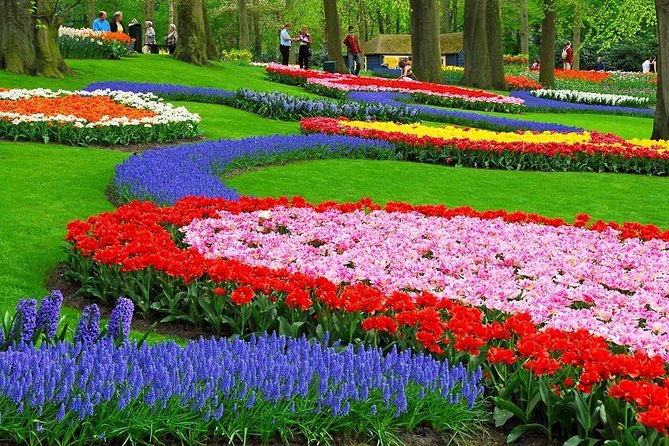 Tulip Experience and Keukenhof Flower Gardens Tour from Amsterdam - Who this tour fits best