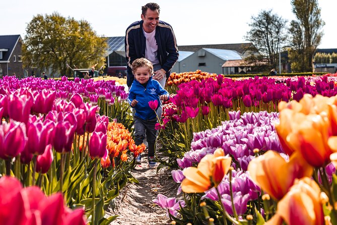Tulip Experience and Keukenhof Flower Gardens Tour from Amsterdam - Tulip Experience Amsterdam: more than a photo stop