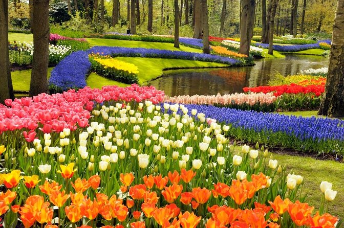 Tulip Fields near Keukenhof - Self-Drive Audio Tour for 2 People - Key things I’d zero in on