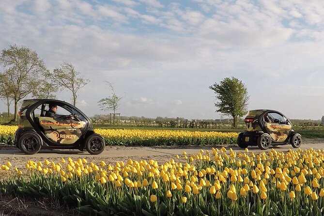 Tulip Fields near Keukenhof - Self-Drive Audio Tour for 2 People - Stop by Stop: what you actually see and do