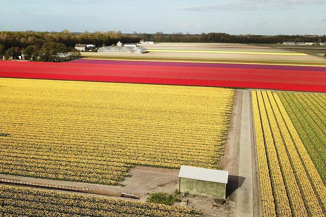 Tulip Fields near Keukenhof - Self-Drive Audio Tour for 2 People - Timing and expectations: bloom season, roads, and photo stops
