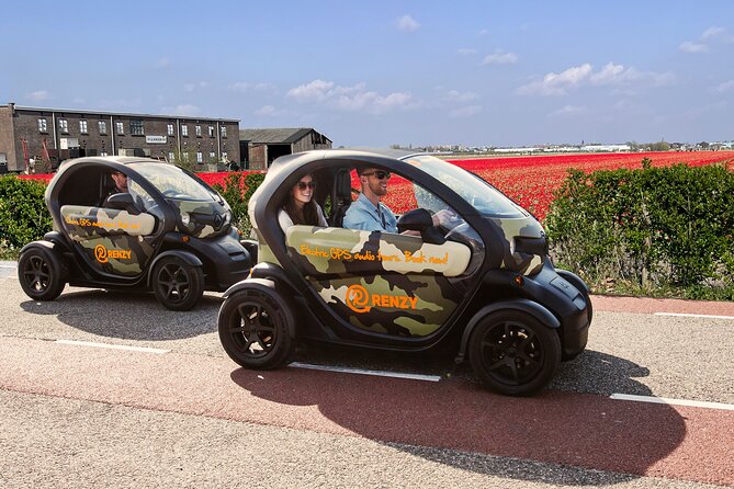 Tulip Fields near Keukenhof - Self-Drive Audio Tour for 2 People - What you get for the price, and why it can be good value