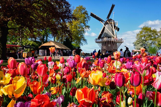 Tulip Paradise: Keukenhof Half-Day Private Tour - The value of a private spring schedule, not a bus parade