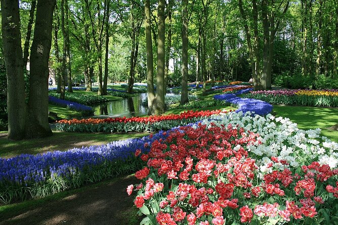 Tulip Paradise: Keukenhof Half-Day Private Tour - Photo stops without the DIY guesswork