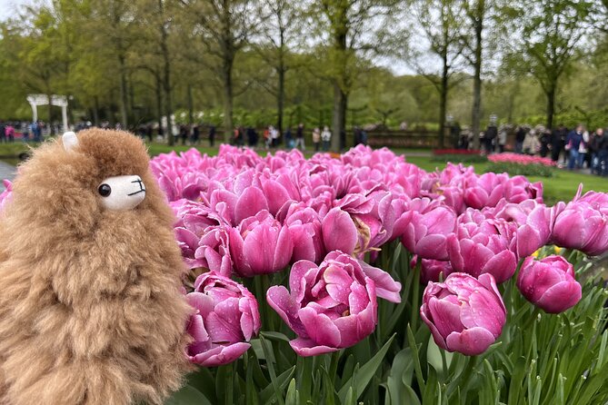 Tulip Paradise: Keukenhof Half-Day Private Tour - What the driver-guide adds beyond tulip spotting