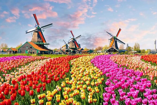 Tulip Paradise: Keukenhof Half-Day Private Tour - The road trip through Dutch tulip fields and windmills