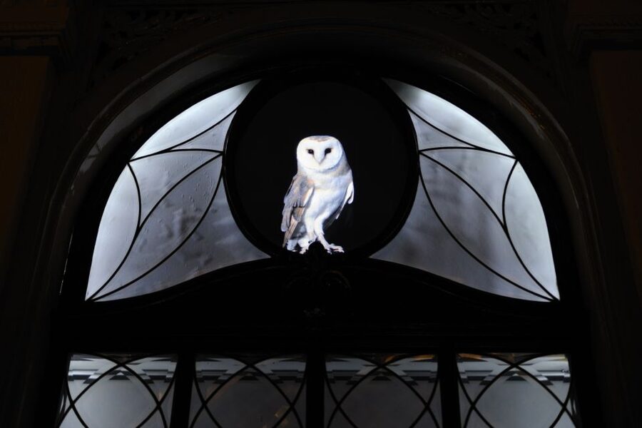 Utrecht: Guided Lumen Walking - Should you book? My practical take