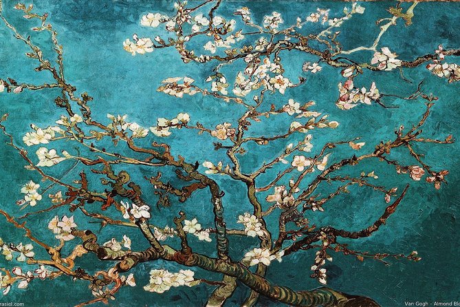 Van Gogh Museum Amsterdam Exclusive Tour w/ Reserved Entry - What you will see: Sunflowers plus the big-splash and the overlooked