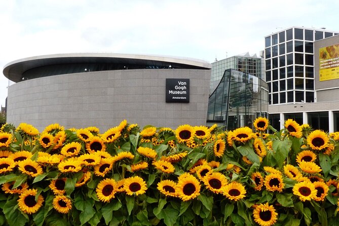 Van Gogh Museum Ticket with Audio Guide and Unlimited Access Time - Crowds and timing: the honest way to handle a busy museum day
