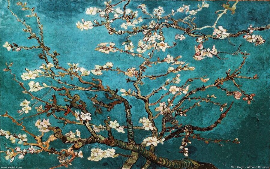 Van Gogh & Rijksmuseum Masterpieces Guided Tour 8 guests 5h - Pace, Packing, and Comfort: The Practical Side of a 5.5-Hour Day