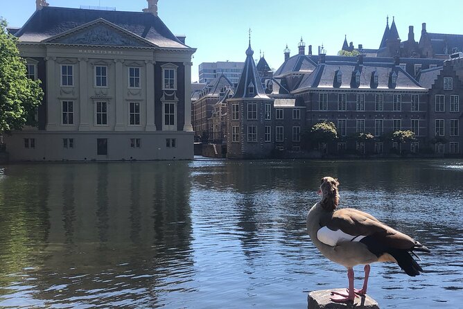 Visit the Girl with the Pearl Earring, The Hague & Delft City - The 10:00 am plan: getting from Amsterdam into Vermeer country