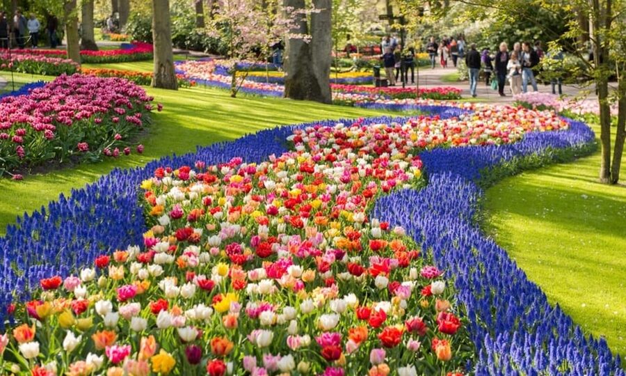 Warmond: Windmill Cruise and Keukenhof Entry Ticket - Key Things to Notice Before You Go