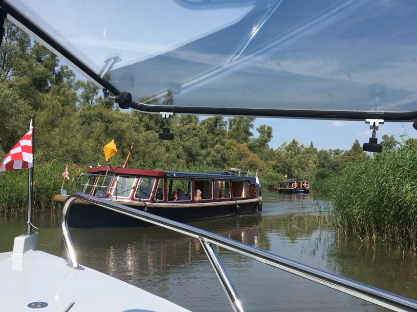 Werkendam: Boat Cruise and Biesbosch Museum Entry Ticket - The 75-minute whisper boat cruise: what the ride actually gives you