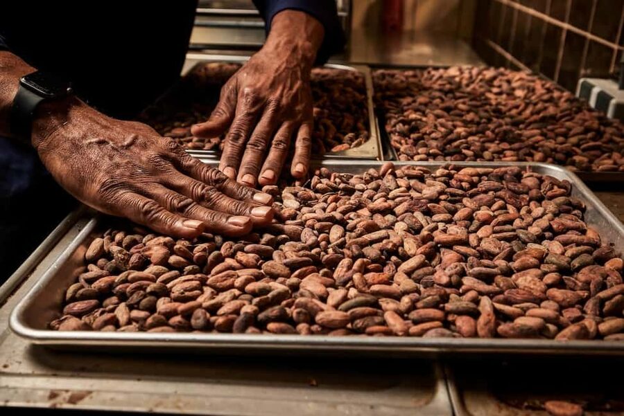 Zaandijk-Near Zaanse Schans Chocolate making demo & tasting - Timing, Group Size, and What to Bring