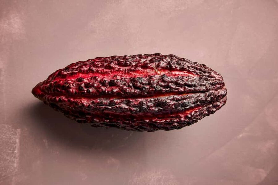 Zaandijk-Near Zaanse Schans Chocolate making demo & tasting - Who This Workshop Is Best For
