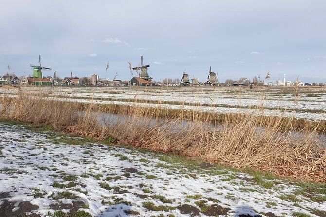Zaanse Schans & Volendam Small-Group Tour with Hotel Pickup - Group size, English guide, and the small-car reality