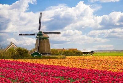 Zaanse Schans Windmills, Clogs and Dutch Cheese Small-Group Tour from Amsterdam