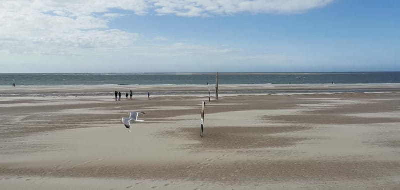Zeeland Strand safari met visnet NL/DE - A guide who keeps the whole group switched on