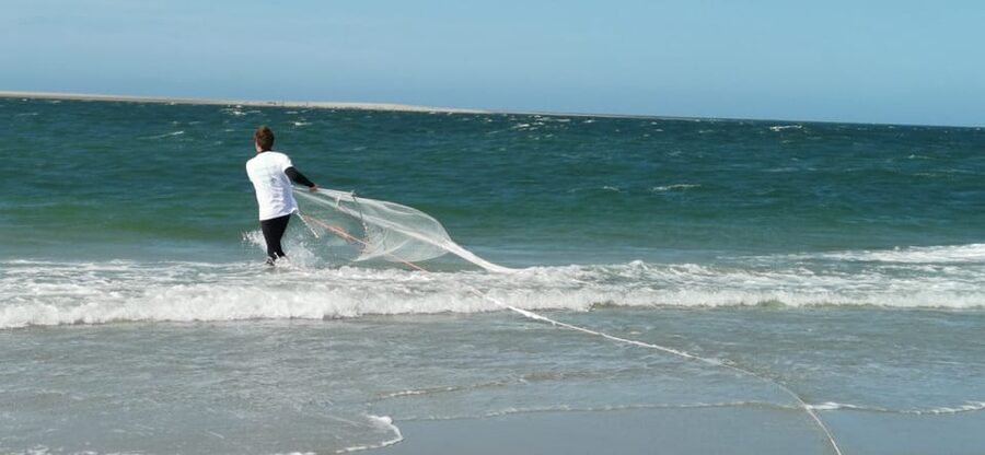 Zeeland Zeehonden strand safari NL/DE - Duration and timing: how 2 hours feels in real life